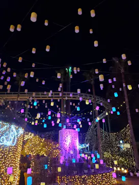 ひらかたパークに投稿された画像（2022/1/6）