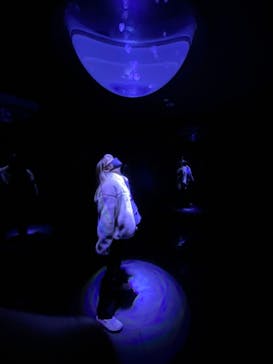 サンシャイン水族館に投稿された画像（2022/1/6）