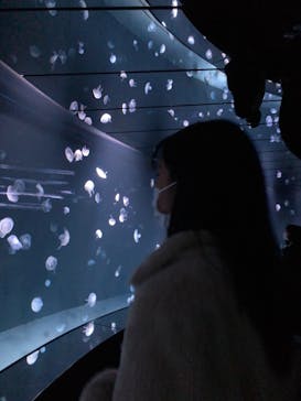 サンシャイン水族館に投稿された画像（2022/1/6）