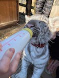 しろとり動物園に投稿された画像（2022/1/7）