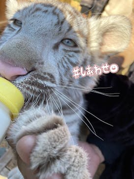 しろとり動物園に投稿された画像（2022/1/6）