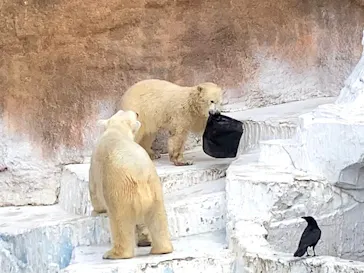 天王寺動物園に投稿された画像（2022/1/7）