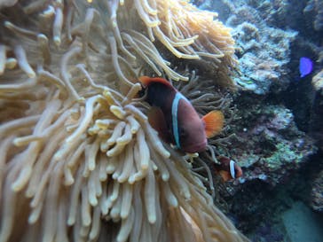 武藤潜水に投稿された画像（2022/1/7）