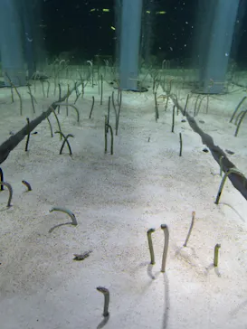 すみだ水族館に投稿された画像（2022/1/7）