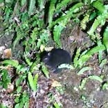 マングローブ茶屋に投稿された画像（2022/1/7）