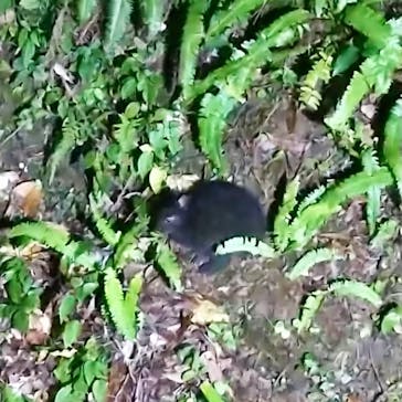 マングローブ茶屋に投稿された画像（2022/1/7）