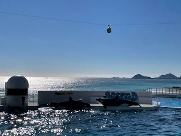 鴨川シーワールドに投稿された画像（2022/1/7）