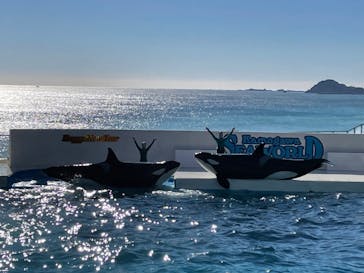 鴨川シーワールドに投稿された画像（2022/1/7）