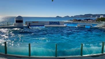 鴨川シーワールドに投稿された画像（2022/1/7）