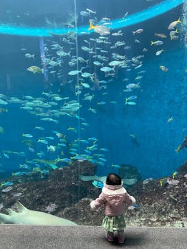 鴨川シーワールドに投稿された画像（2022/1/7）