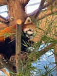 伊豆シャボテン動物公園に投稿された画像（2022/1/7）