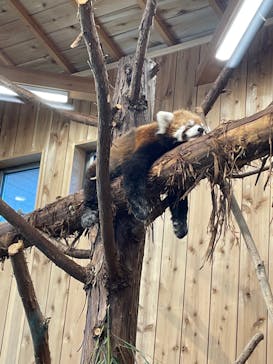 伊豆シャボテン動物公園に投稿された画像（2022/1/7）