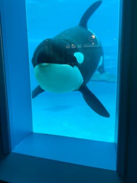 鴨川シーワールドに投稿された画像（2022/1/7）