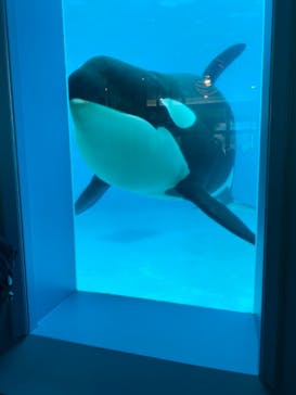 鴨川シーワールドに投稿された画像（2022/1/7）