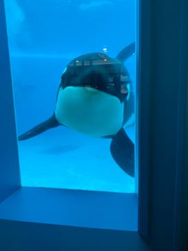 鴨川シーワールドに投稿された画像（2022/1/7）