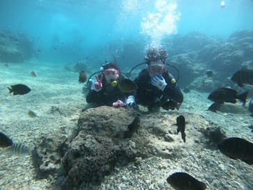 武藤潜水に投稿された画像（2022/1/7）