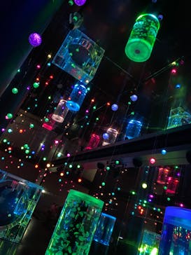 マクセル アクアパーク品川に投稿された画像（2022/1/7）