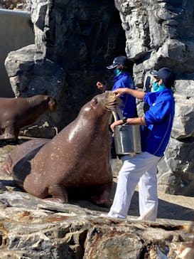 鴨川シーワールドに投稿された画像（2022/1/7）