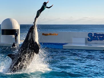 鴨川シーワールドに投稿された画像（2022/1/7）