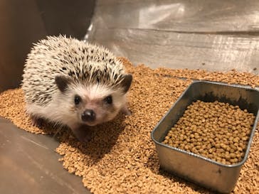 HARRY　横浜中華街店に投稿された画像（2022/1/7）