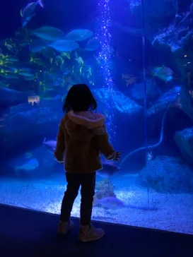 すみだ水族館に投稿された画像（2022/1/7）