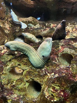 株式会社Gに投稿された画像（2022/1/7）