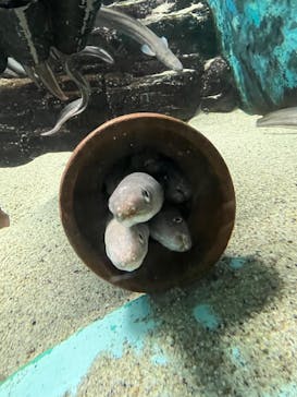 株式会社Gに投稿された画像（2022/1/7）