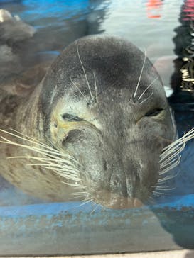 株式会社Gに投稿された画像（2022/1/7）