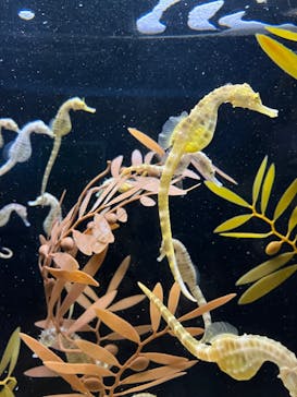 株式会社Gに投稿された画像（2022/1/7）