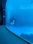 名古屋港水族館に投稿された画像（2022/1/7）