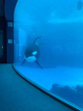 名古屋港水族館に投稿された画像（2022/1/7）