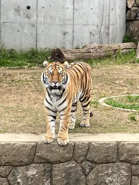 天王寺動物園に投稿された画像（2022/1/7）