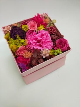 ずこうしつ〜sugamo〜に投稿された画像（2022/1/7）