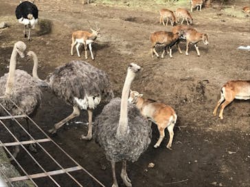 伊豆アニマルキングダムに投稿された画像（2022/1/7）