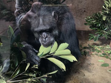 伊豆アニマルキングダムに投稿された画像（2022/1/7）