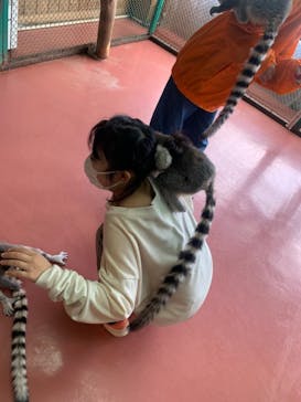 那須ワールドモンキーパークに投稿された画像（2022/1/7）