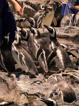 すみだ水族館に投稿された画像（2022/1/7）