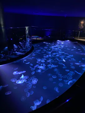 すみだ水族館に投稿された画像（2022/1/7）