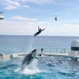 鴨川シーワールドに投稿された画像（2022/1/8）