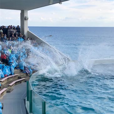 鴨川シーワールドに投稿された画像（2022/1/7）