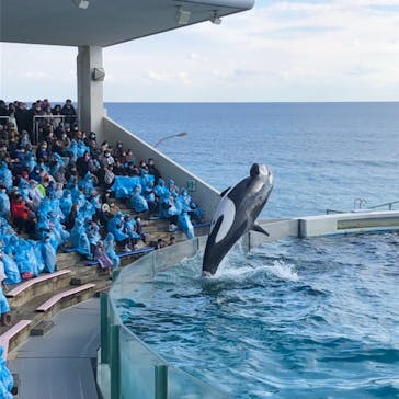 鴨川シーワールドに投稿された画像（2022/1/7）