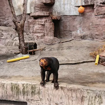 天王寺動物園に投稿された画像（2022/1/8）