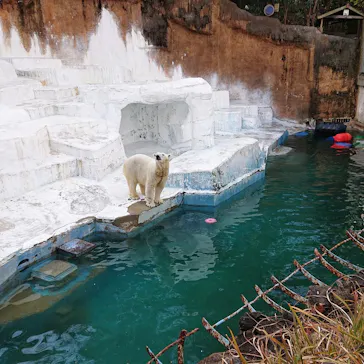 天王寺動物園に投稿された画像（2022/1/8）