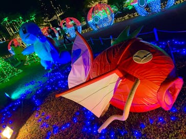 美らヤシパークオキナワ・東南植物楽園に投稿された画像（2022/1/8）