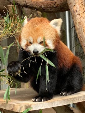 熱川バナナワニ園に投稿された画像（2022/1/8）