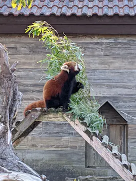 ひらかたパークに投稿された画像（2022/1/8）