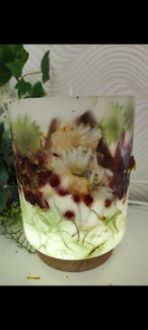 ずこうしつ〜sugamo〜に投稿された画像（2022/1/8）