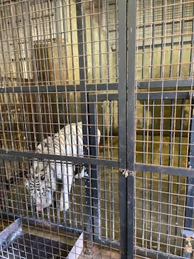 群馬サファリパークに投稿された画像（2022/1/8）