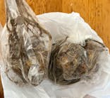 石打丸山スキー場 / ザ・ヴェランダ石打丸山に投稿された画像（2022/1/8）