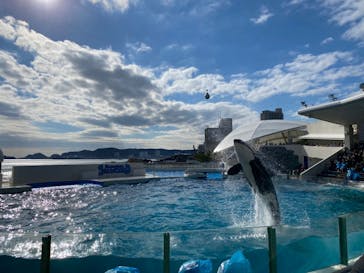 鴨川シーワールドに投稿された画像（2022/1/8）